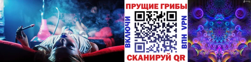 Галлюциногенные грибы Cubensis как найти закладки блэк спрут сайт Боготол